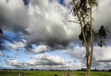 mba联考答案格式要求是什么样子的呢英语单词,mba联考写作范文