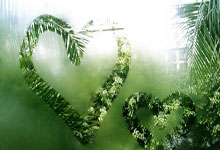 历年mba真题及答案2025年解析汇总图表图片,历年mba考试时间