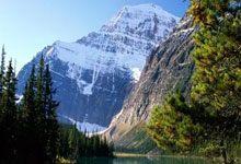 mba联考答案2025年最新版解析pdf,2021年mba联考考试大纲